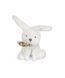 М'яка іграшка зайчик Lapin blanc avec chouchou, 12 см, Doudou et Companie DC3818 DC3818 фото 7