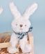 М'яка іграшка зайчик Lapin blanc avec chouchou, 12 см, Doudou et Companie DC3818 DC3818 фото 9