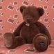 М'яка іграшка ведмедик Cl&eacute;mentin Marron Chocolat, 60 см, Histoire d'Ours HO3391 HO3391 фото 1