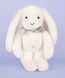 М'яка іграшка зайчик Lapin Fleurette, 25 см, Doudou et Companie DC4296 DC4296 фото 4