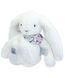 М'яка іграшка зайчик Lapin Fleurette, 25 см, Doudou et Companie DC4296 DC4296 фото 1