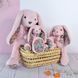 Мягкая игрушка зайчик Peluche Lapin Rose - Copains C&acirc;lins, 40 см, Histoire d'Ours HO3194 HO3194 фото 2