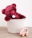 М'яка іграшка ведмедик Ours en peluche bois de rose, 37 см, Doudou et Companie DC3592 DC3592 фото 2