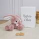 М'яка іграшка зайчик Peluche Lapin Rose, 25 см, Histoire d'Ours HO3007 HO3007 фото 2