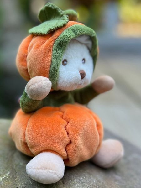 Іграшка м'яка ведмедик Ziggy Pumpkin, 15 см, Bukowski Design 23114 23114 фото