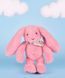 М'яка іграшка зайчик Lapin Fleurette, 25 см, Doudou et Companie DC4297 DC4297 фото 5