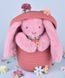 М'яка іграшка зайчик Lapin Fleurette, 25 см, Doudou et Companie DC4297 DC4297 фото 3