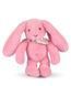 М'яка іграшка зайчик Lapin Fleurette, 25 см, Doudou et Companie DC4297 DC4297 фото 1