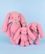 М'яка іграшка зайчик Lapin Fleurette, 25 см, Doudou et Companie DC4297 DC4297 фото 7