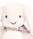 М'яка іграшка зайчик Lapin Fleurette, 35 см, Doudou et Companie DC4301 DC4301 фото 3
