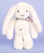 М'яка іграшка зайчик Lapin Fleurette, 35 см, Doudou et Companie DC4301 DC4301 фото 6