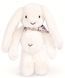 М'яка іграшка зайчик Lapin Fleurette, 35 см, Doudou et Companie DC4301 DC4301 фото 1