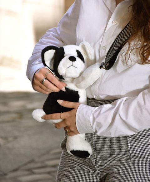 М'яка іграшка-сумка Sac bandouli&egrave;re - Chien en peluche, 30 см, Doudou et Companie DC4564 DC4564 фото