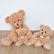 М'яка іграшка ведмедик Ours en Peluche Beige, 27 см, Histoire d'Ours HO2873 HO2873 фото 3