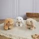 М'яка іграшка зайчик Peluche lapin, 17 см, Histoire d'Ours HO3000/рудий HO3000/рудий фото 2